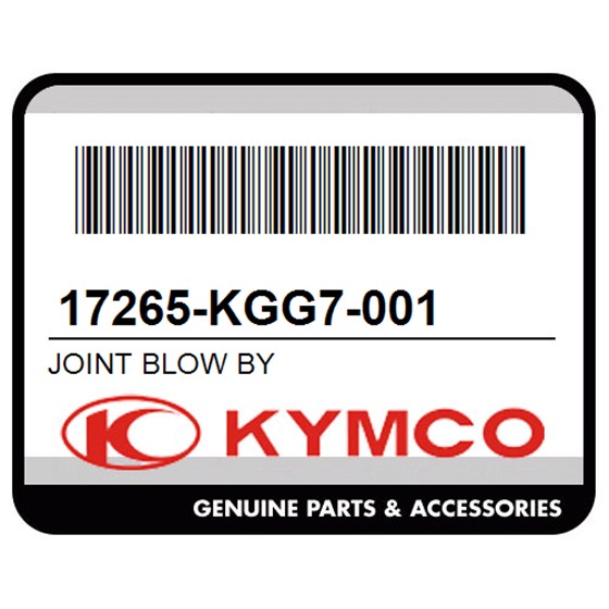 Kymco 17265-KGG7-001 Joint Blow By