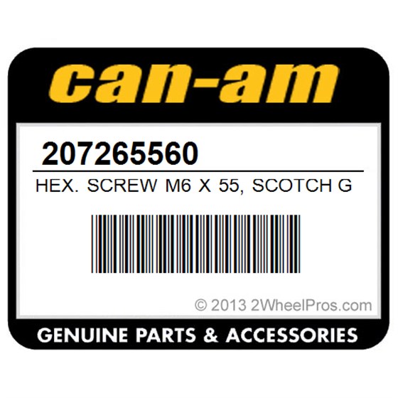 Can-Am 207265560 Hex. Screw M6 X 55, Scotch Grip. Except Europe