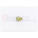 Can-Am 207581244 Hex. Flanged Screw M8 X 12, Scotch Grip