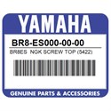 Yamaha BR8-ES000-00-00 Br8es  Ngk Screw Top (5422)