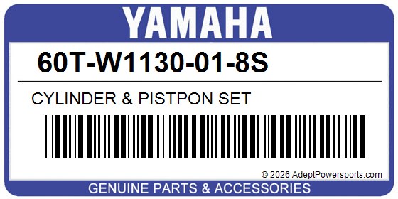 Yamaha 60T-W1130-01-8S Cylinder & Pistpon Set