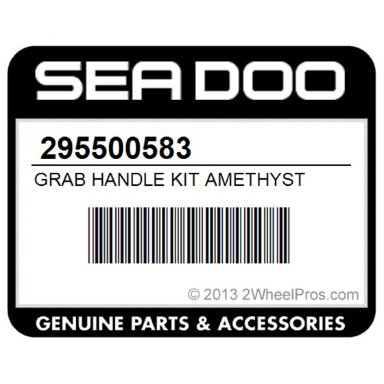 Sea-Doo 295500583 Grab Handle Kit Amethyst