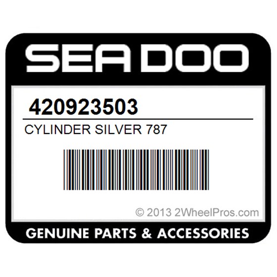 Sea-Doo 420923503 Cylinder Silver 787