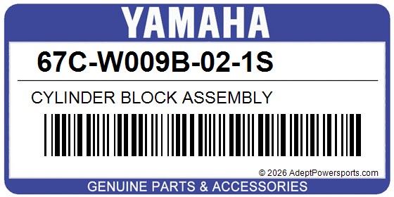 Yamaha 67C-W009B-02-1S Cylinder Block Assembly