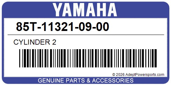 Yamaha 85T-11321-09-00 Cylinder 2