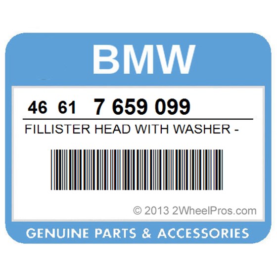 BMW 46617659099 Fillister Head With Washer - M6x45-Z1
