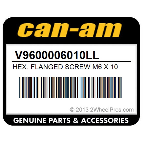 Can-Am V9600006010LL Hex. Flanged Screw M6 X 10
