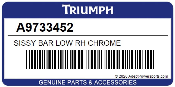 Triumph A9733452 Sissy Bar Low Rh Chrome
