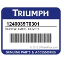Triumph 1240039T0301 Screw, Carb, Cover