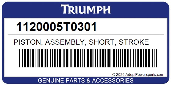 Triumph 1120005T0301 Piston, Assembly, Short, Stroke