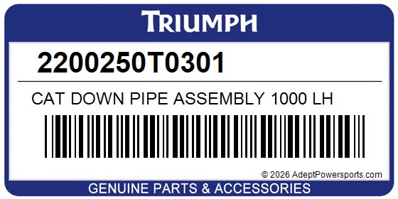 Triumph 2200250T0301 Cat Down Pipe Assembly 1000 Lh