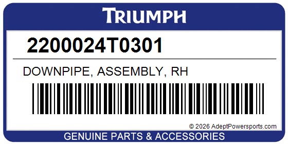 Triumph 2200024T0301 Downpipe, Assembly, Rh