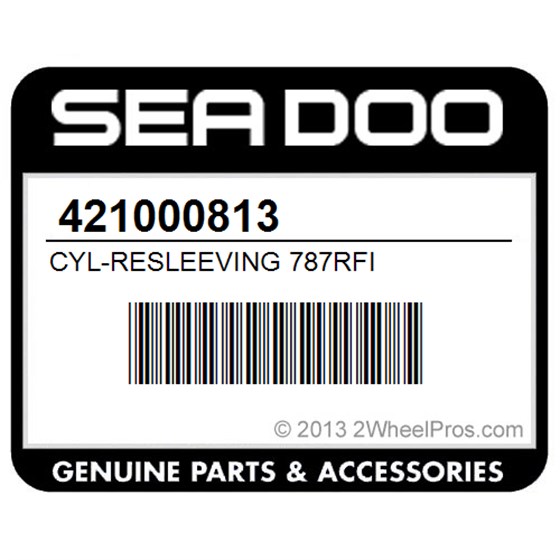 Sea-Doo 421000813 Cyl-Resleeving 787Rfi