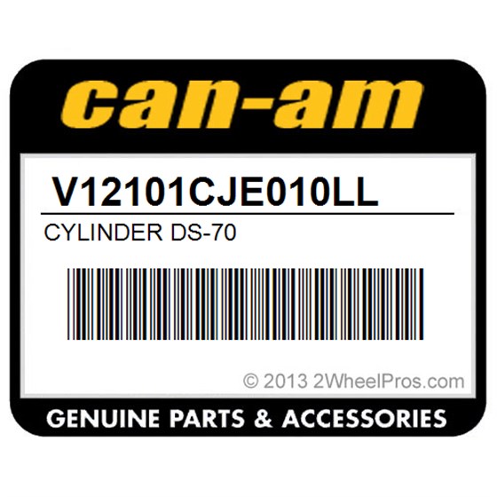 Can-Am V12101CJE010LL Cylinder Ds-70