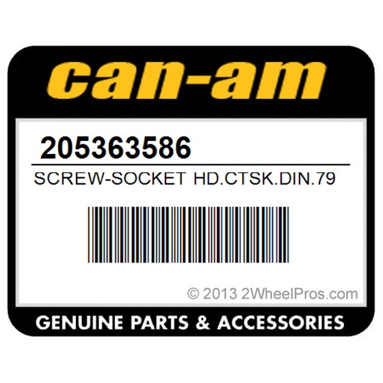 Can-Am 205363586 Screw-Socket Hd.Ctsk.Din.7991