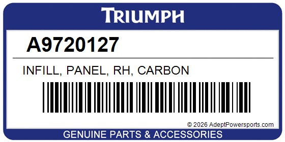 Triumph A9720127 Infill, Panel, Rh, Carbon