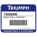 Triumph T2026206 Brake Pedal Assembly