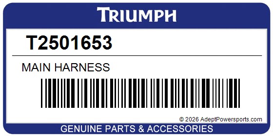 Triumph T2501653 Main Harness