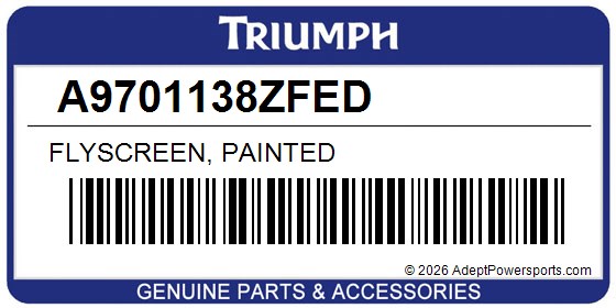 Triumph A9701138ZFED Flyscreen, Painted