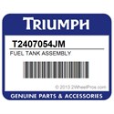 Triumph T2407054JM Fuel Tank Assembly