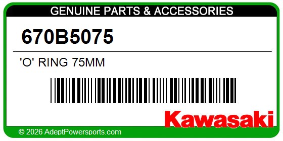 Kawasaki 670B5075 'O' Ring 75Mm