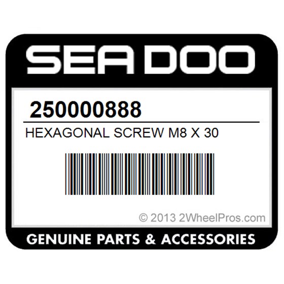 Sea-Doo 250000888 Hexagonal Screw M8 X 30