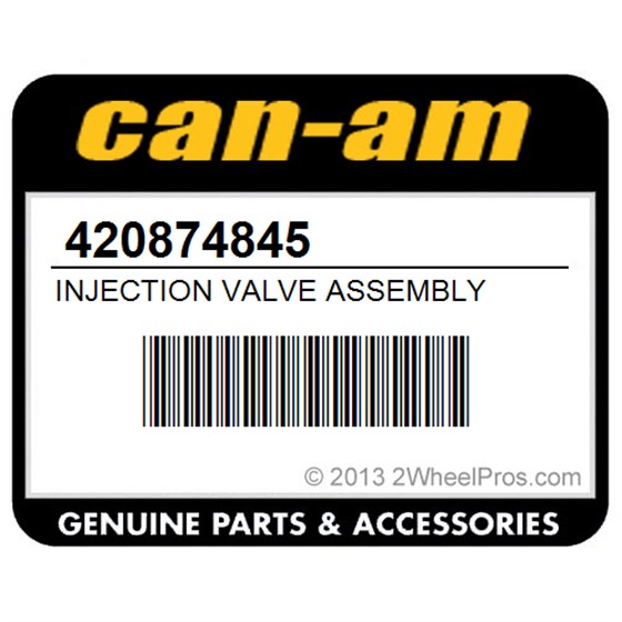 Can-Am 420874845 Injection Valve Assembly