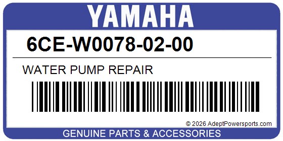 Yamaha 6CE-W0078-02-00 Water Pump Repair