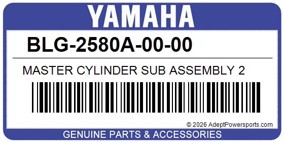 Yamaha BLG-2580A-00-00 Master Cylinder Sub Assembly 2