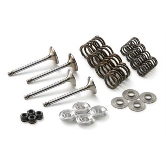 KTM 79536030010 Valve Kit 450