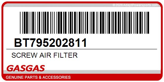 GasGas BT795202811 Screw Air Filter