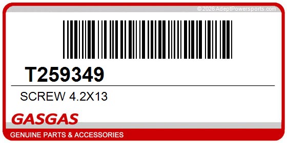 GasGas T259349 Screw 4.2X13