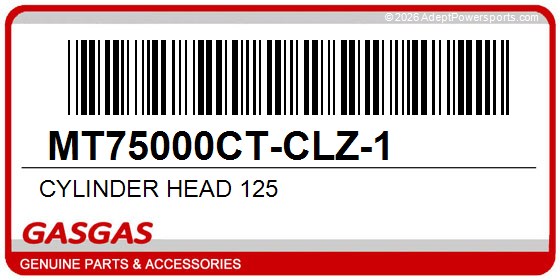 GasGas MT75000CT-CLZ-1 Cylinder Head 125