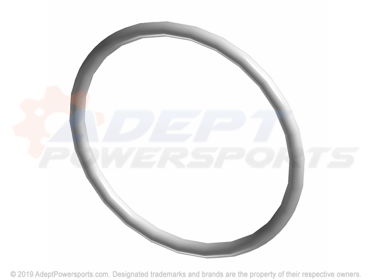 Polaris 5412220 O-Ring