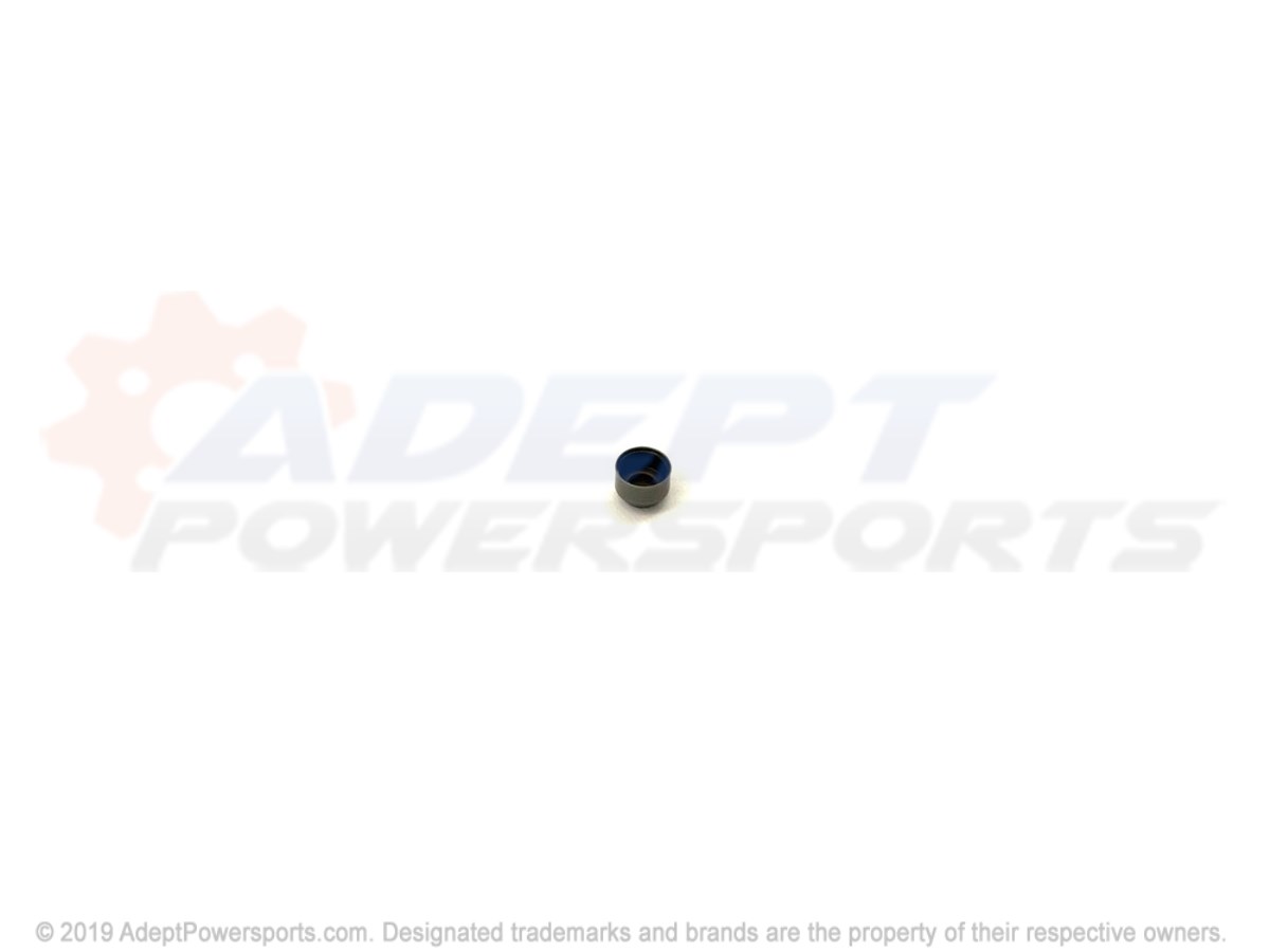 Polaris 5413250 Seal, Valve, Stem