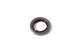 Polaris 5413245 Seal, Shaft