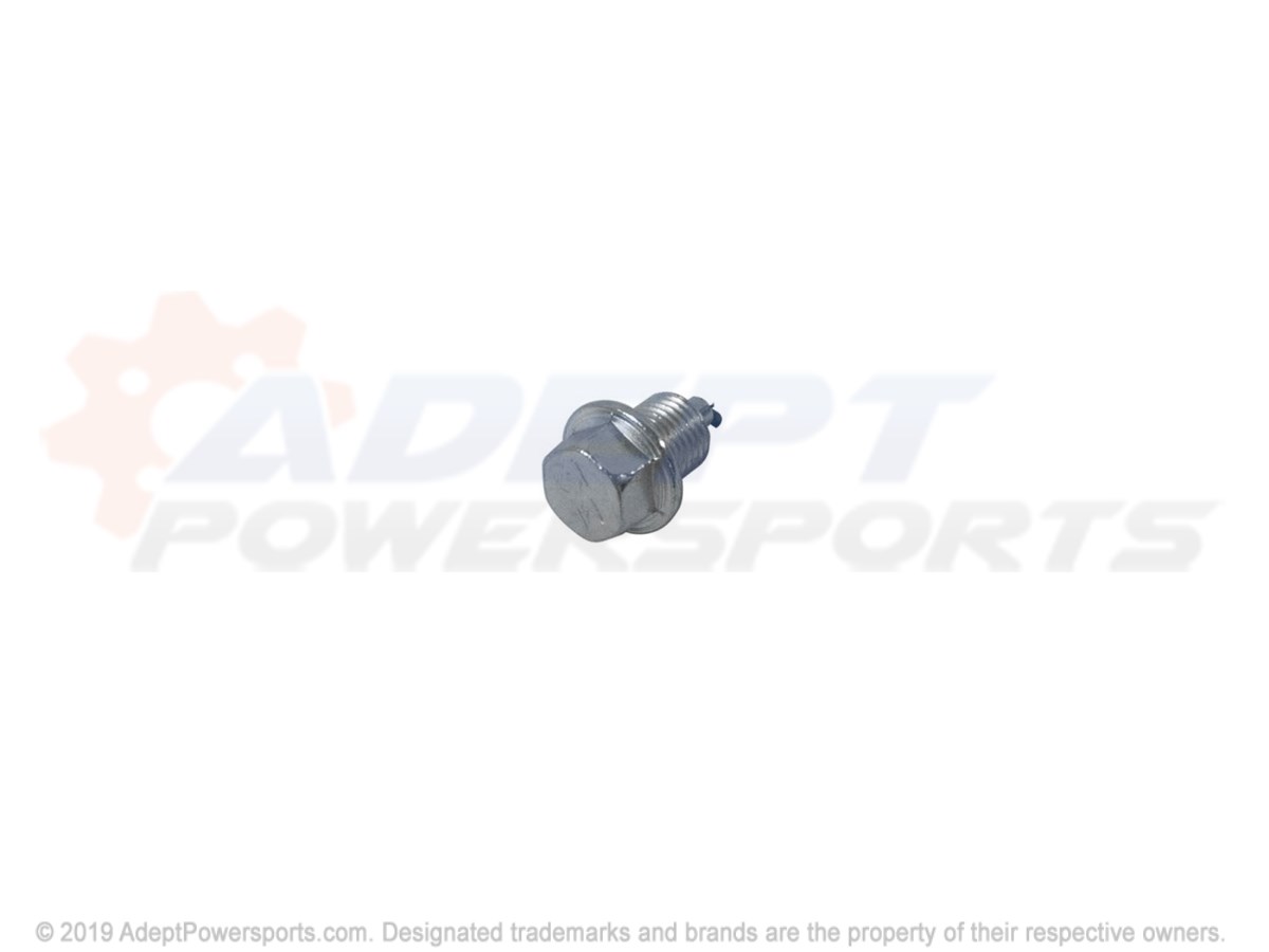 Polaris 7051524 Plug, Mag.12, M.