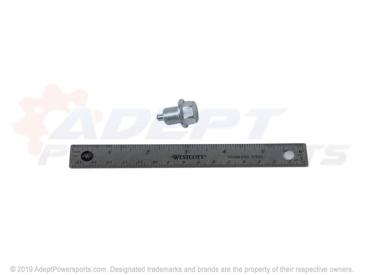 Polaris 7051524 Plug, Mag.12, M.