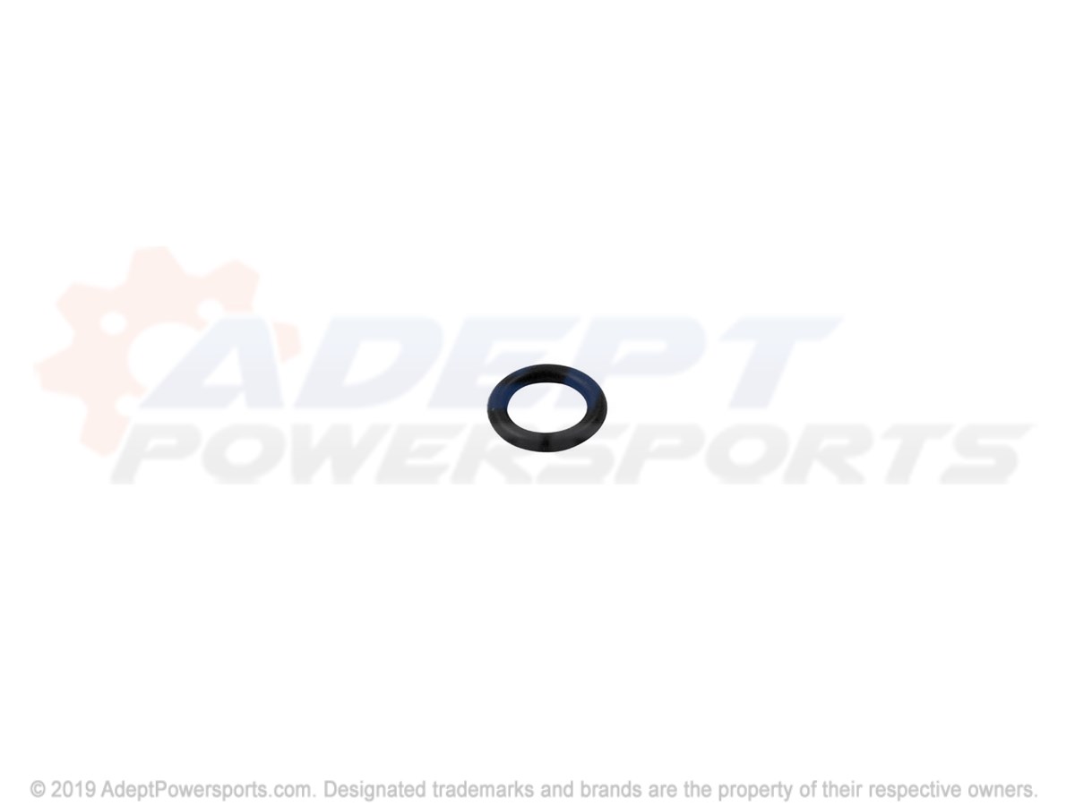 Polaris 3089899 O-Ring