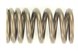 Polaris 3086892 Spring, Valve