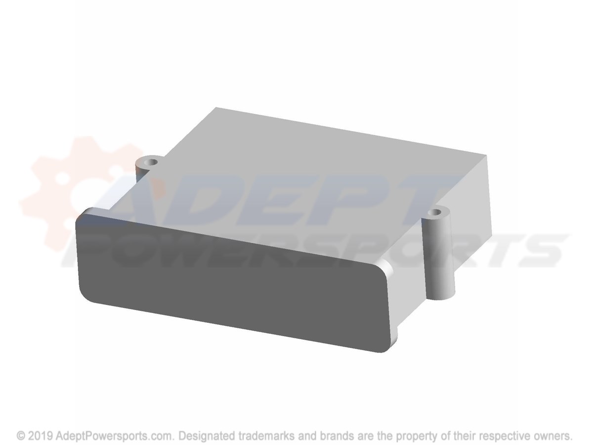 Polaris 4011599 Ecu
