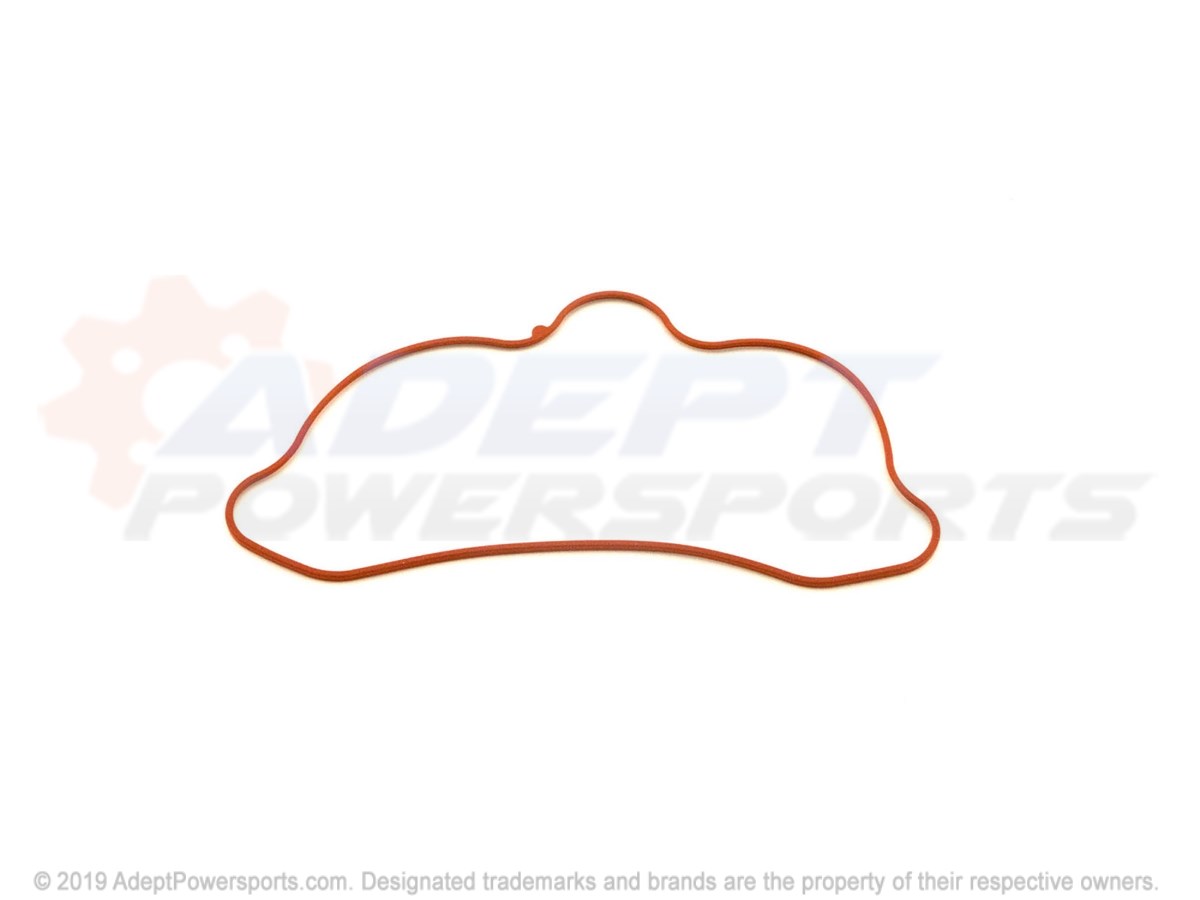 Polaris 5412836 Seal, Valve, Cover, [Ad]