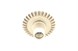 Polaris 3233740 Gear, 31T, (For, Gearcase, 1341321)