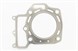 Kawasaki 11004-0047 Gasket-Head