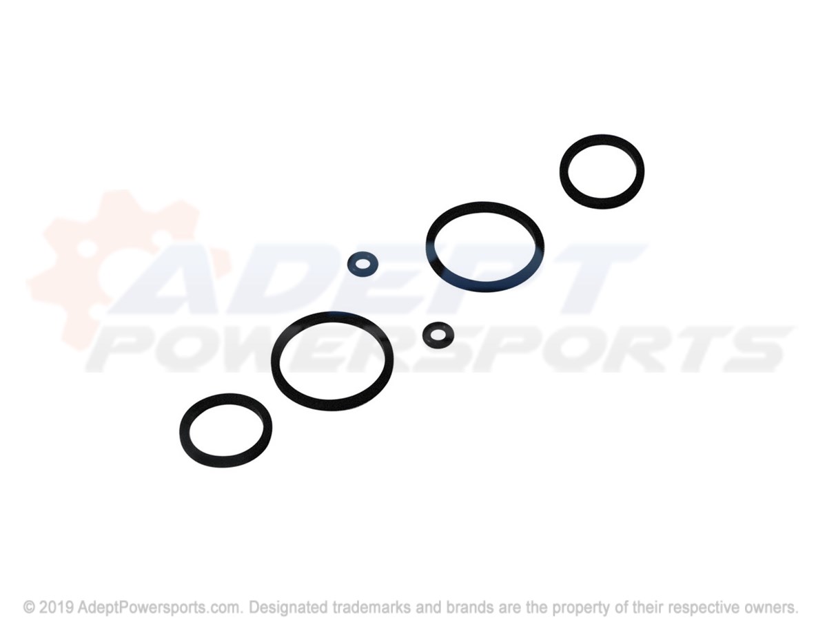 Polaris 2201180 Kit, Seal, Caliper, Ww