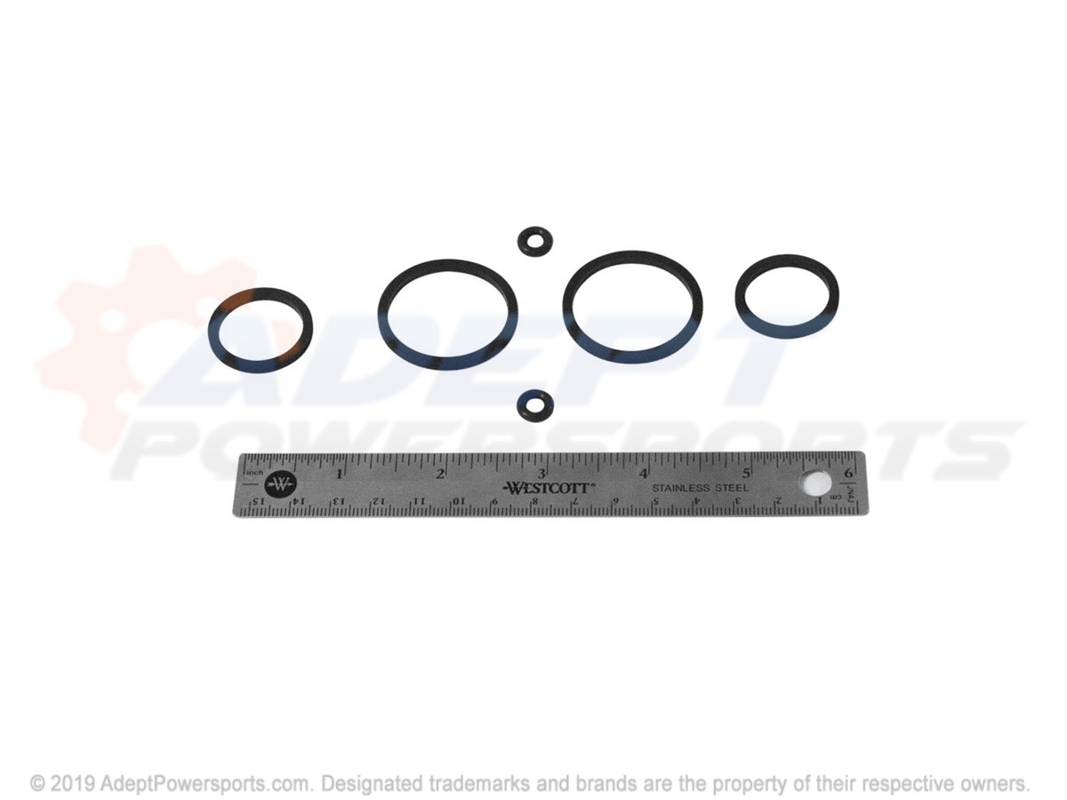 Polaris 2201180 Kit, Seal, Caliper, Ww