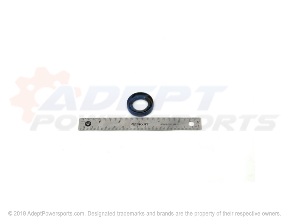 Polaris 3234000 Seal