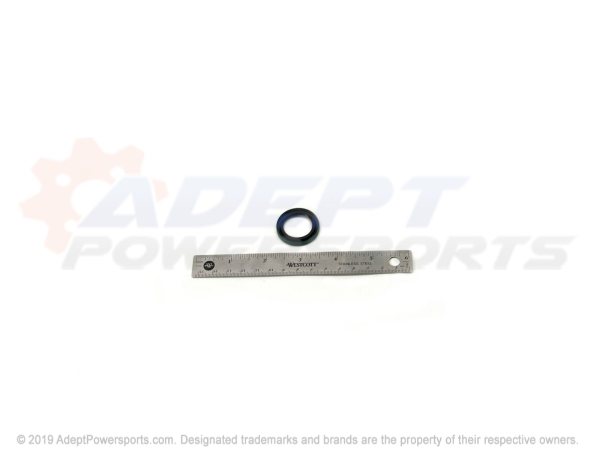 Polaris 3610062 Seal, Brake