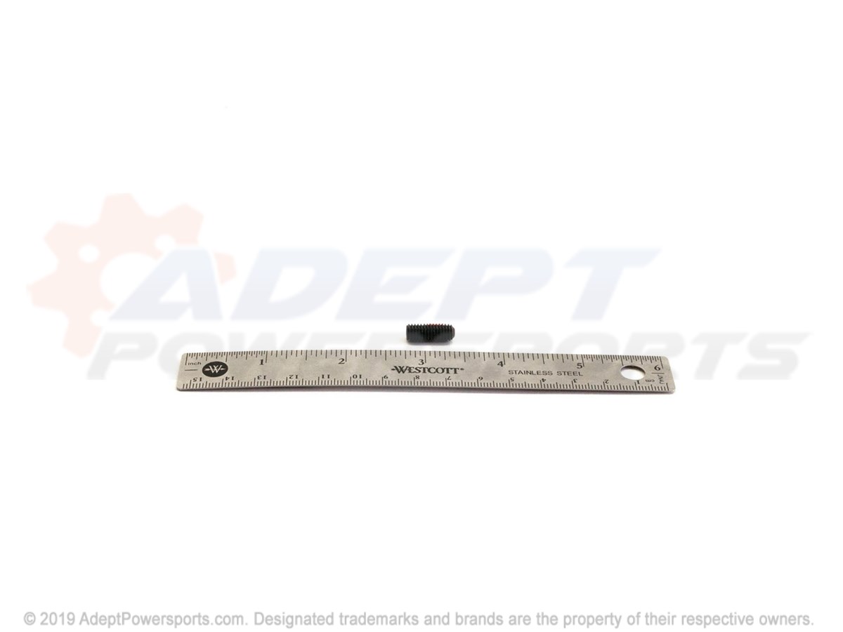 Polaris 2203731 Screw, Set