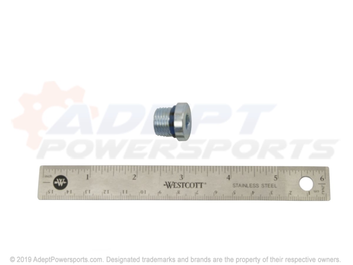 Polaris 2203739 Plug, Fill